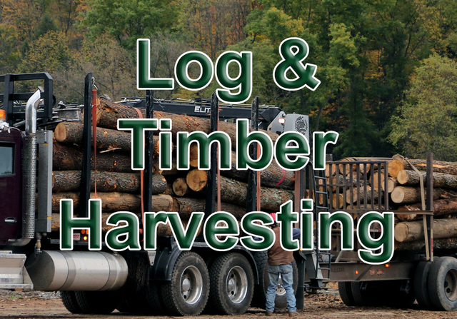 Clendenin-Log-and-Timber-Harvesting