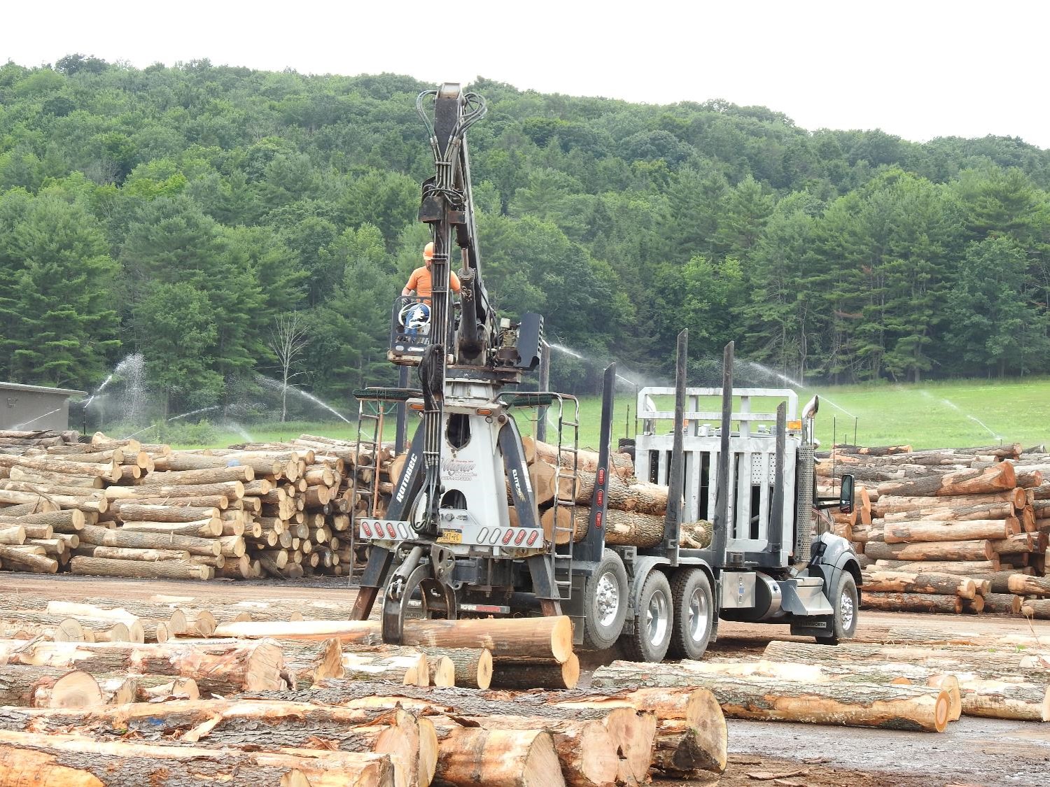 From Logs to Lumber - Log Yard