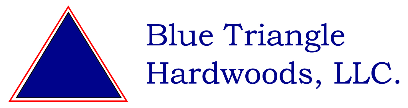 blue triangle logo master HD White 01 01