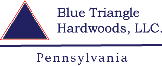 Blue Triangle Logo Master State