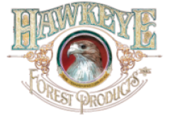hawkeye logo transparent