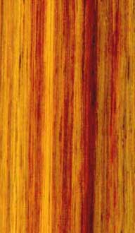 Canarywood - Tropical hardwood lumber species