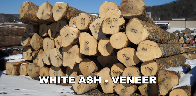 White Ash Logs