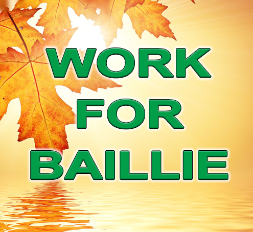 work-for-baillie-image