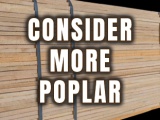 Are You Considering Poplar More Frequently