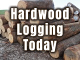 Overcoming Trying Times For the Logging Industry