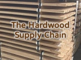 Have You Been Rethinking Your Hardwood Supply Chain